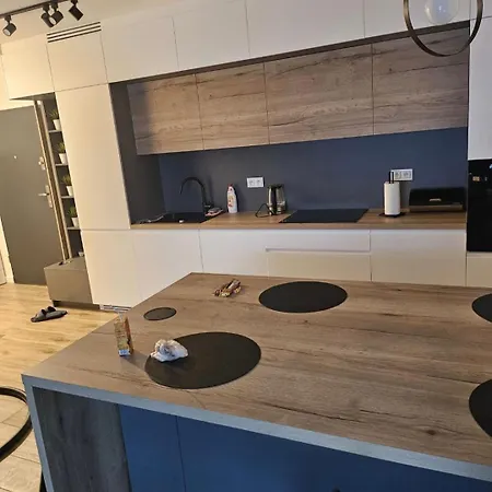 Z Ogródkiem Wysoki Standard Centrum Północ Apartament *