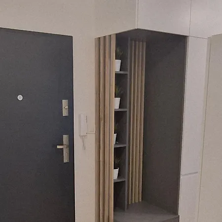 Z Ogrodkiem Wysoki Standard Centrum Polnoc * Štetín