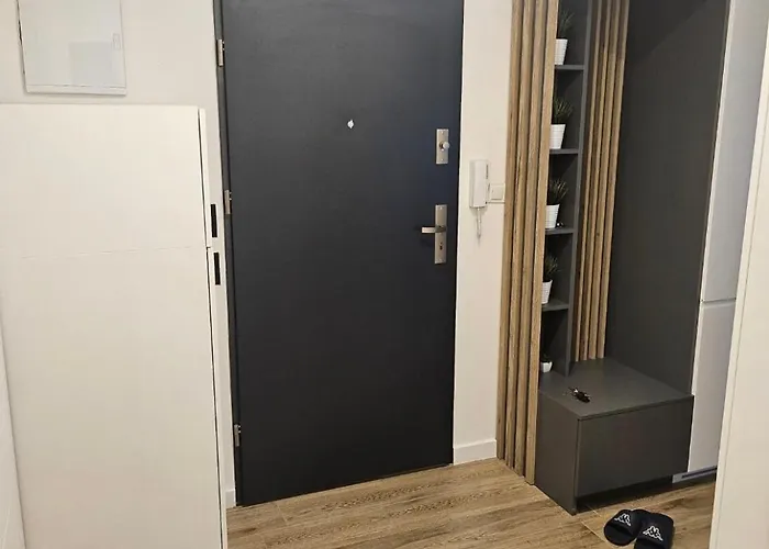 Z Ogrodkiem Wysoki Standard Centrum Polnoc シュチェチン