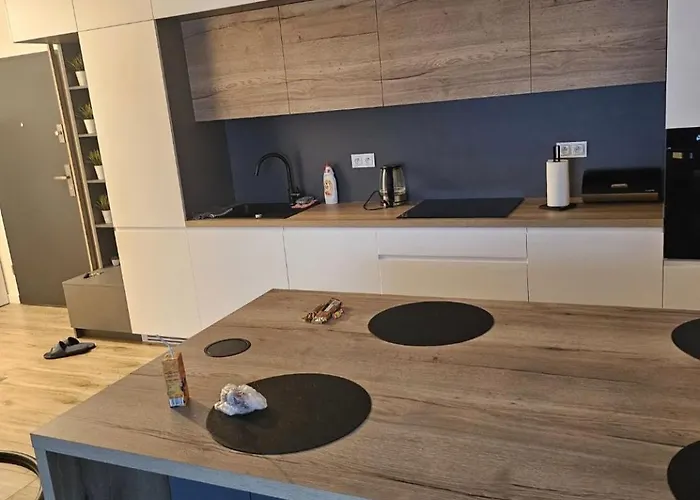 Z Ogrodkiem Wysoki Standard Centrum Polnoc Apartment *